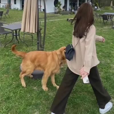 猎艳宝典